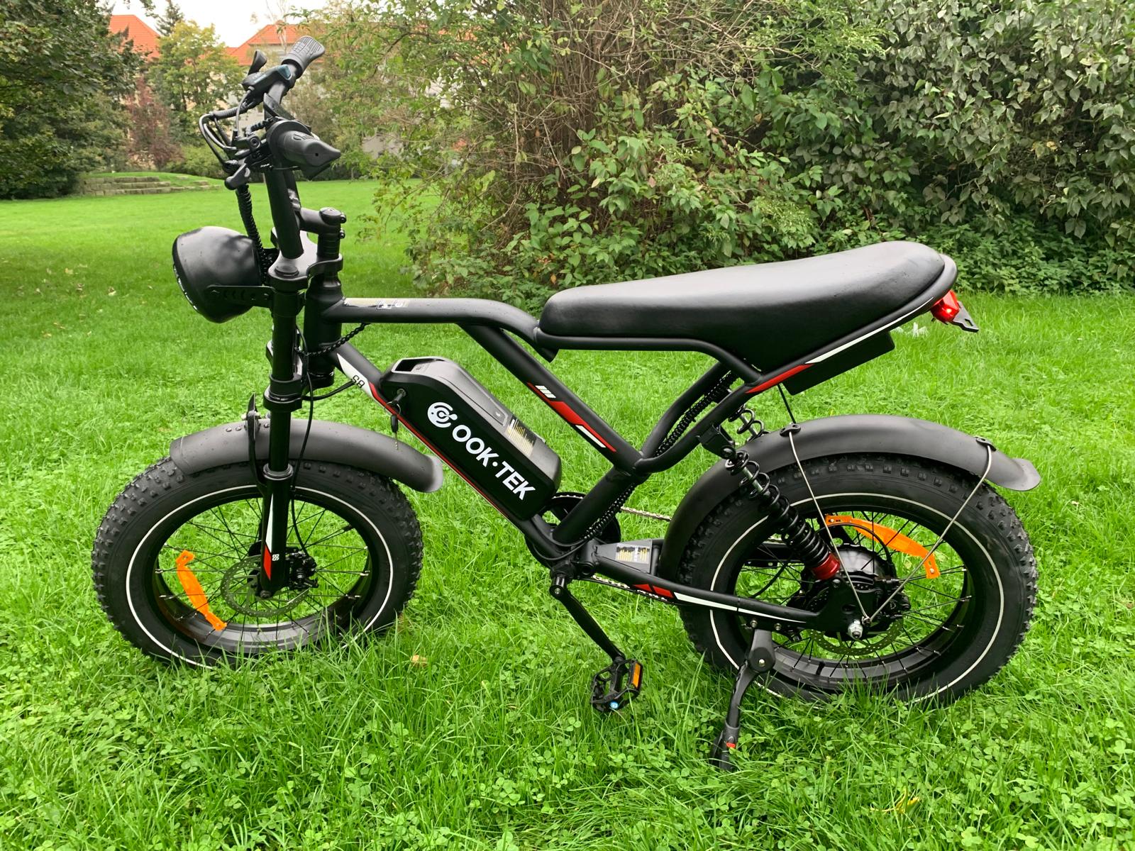 Schnelles 20-Zoll-Fat Elektrofahrrad 1000W 250W Power E-Bike