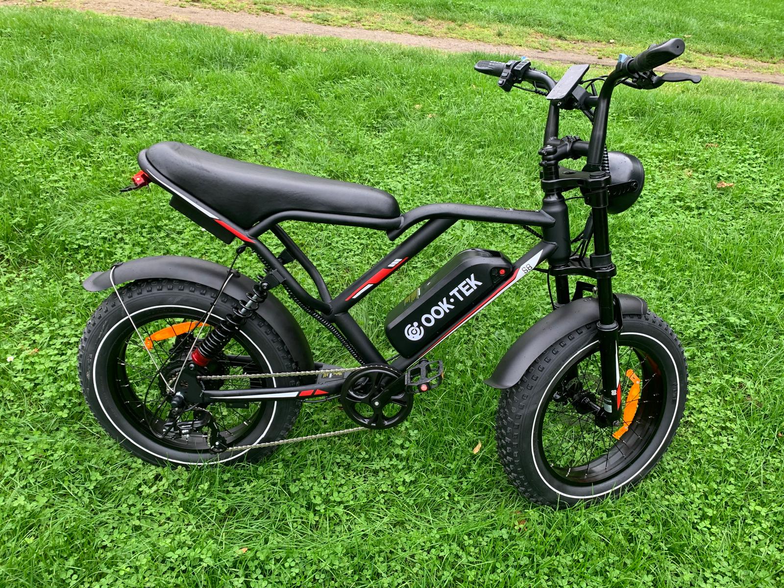 Schnelles 20-Zoll-Fat Elektrofahrrad 1000W 250W Power E-Bike