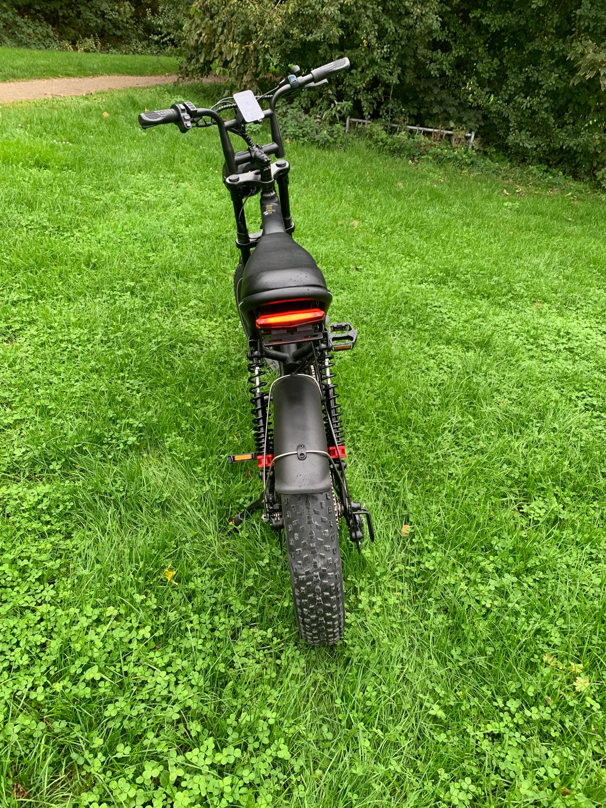 Schnelles 20-Zoll-Fat Elektrofahrrad 1000W 250W Power E-Bike