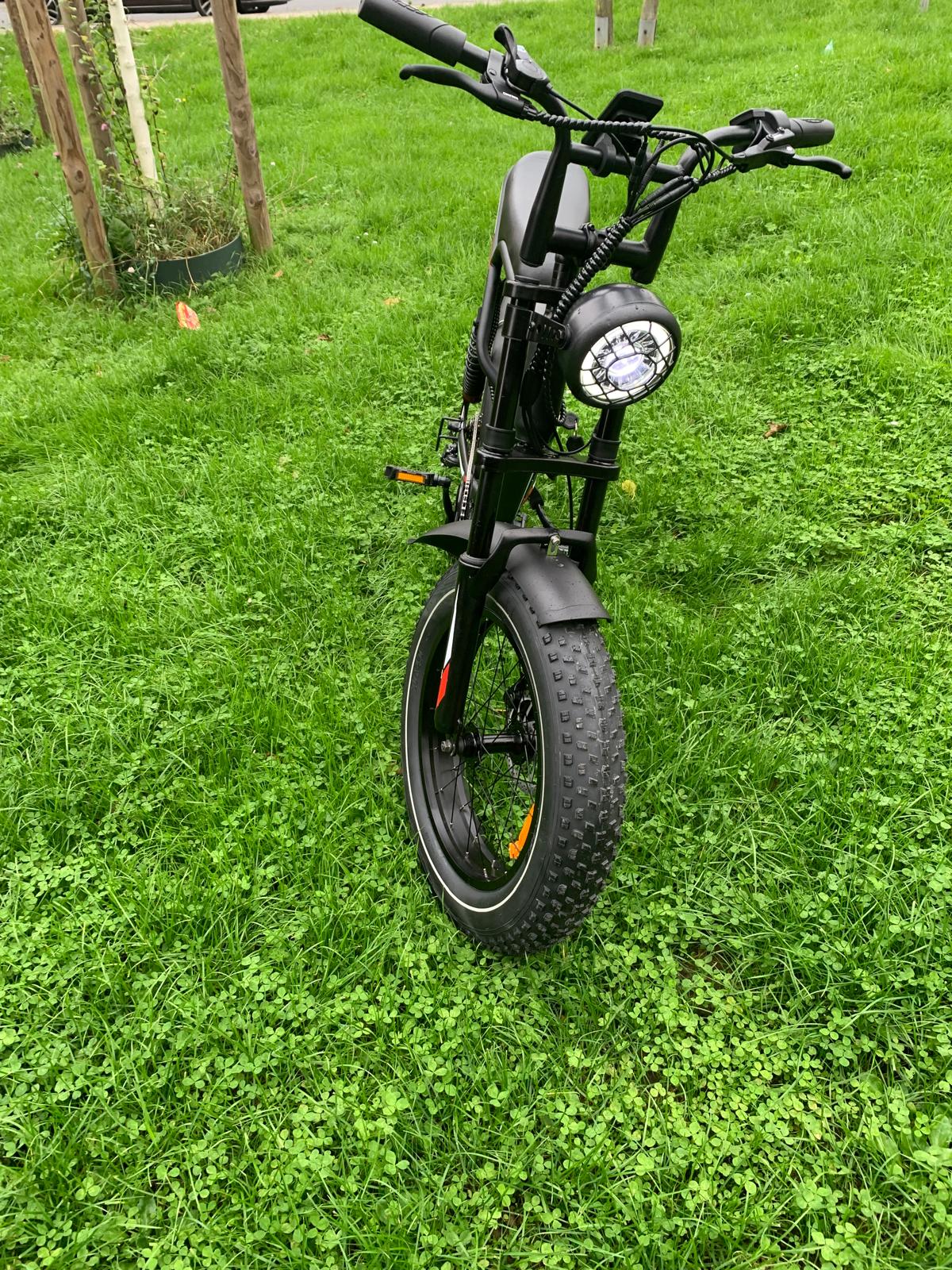 Schnelles 20-Zoll-Fat Elektrofahrrad 1000W 250W Power E-Bike